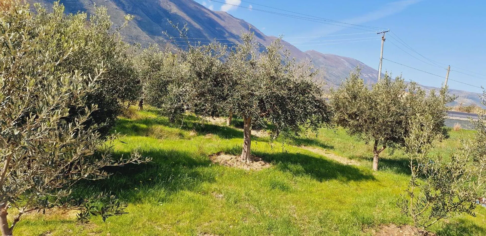 Holiday home Miri'S Vacation House Vlore