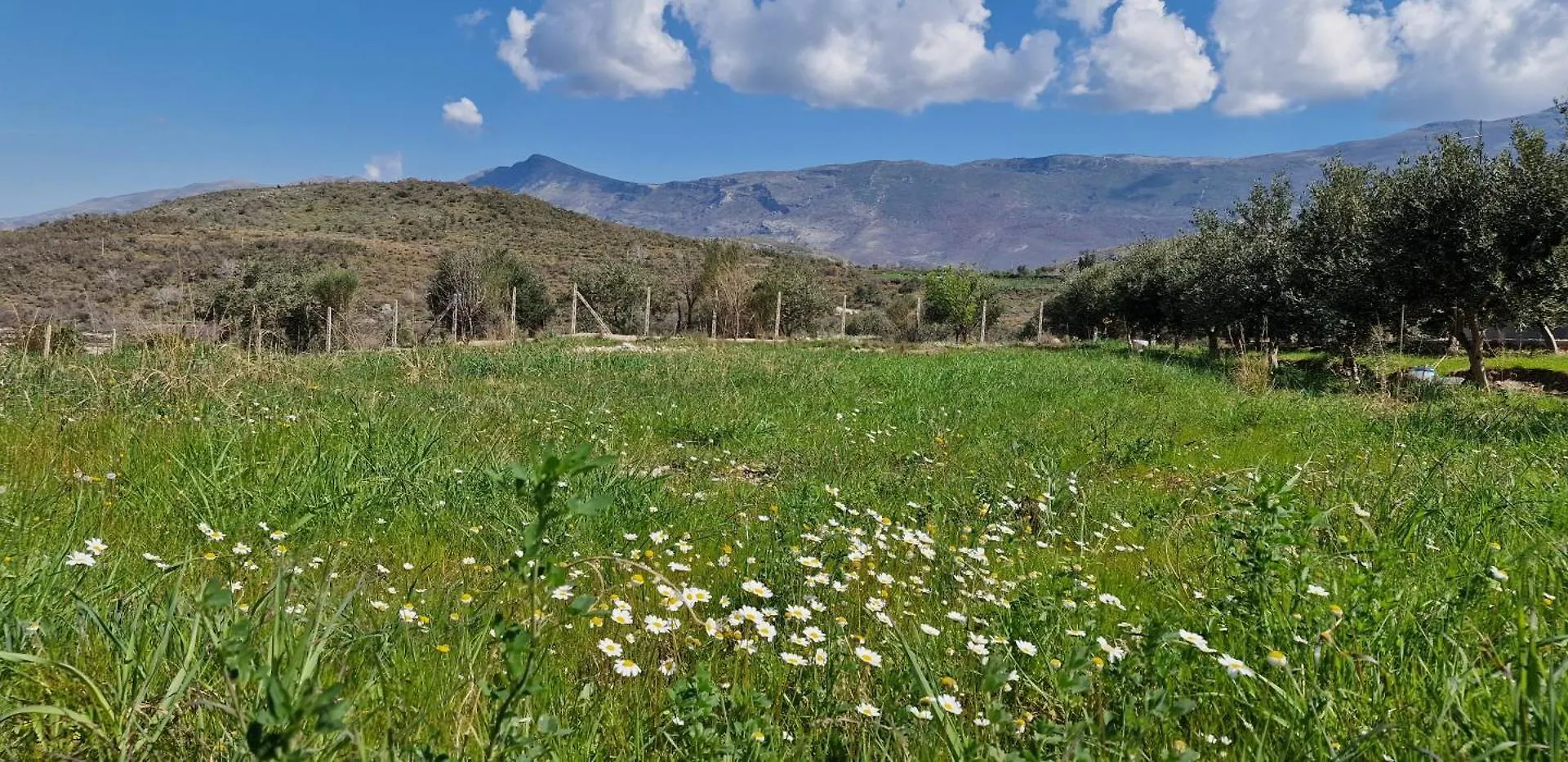 Miri'S Vacation House Vlore 0*,  Albania